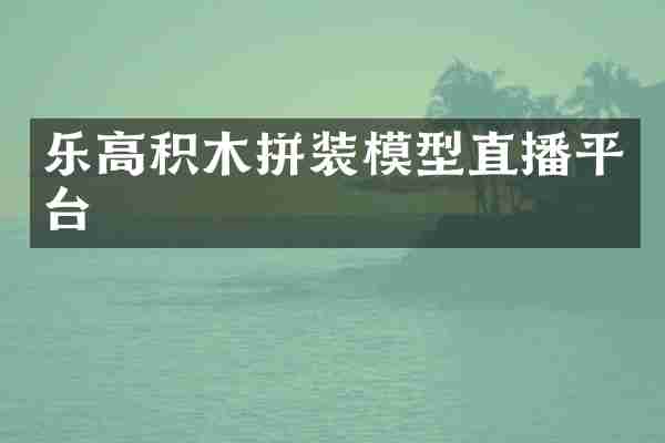 乐高积木拼装模型直播平台