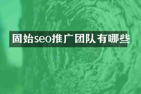 固始seo推广团队有哪些