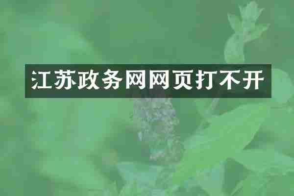 江苏政务网网页打不开