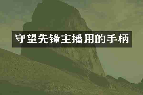 守望先锋主播用的手柄
