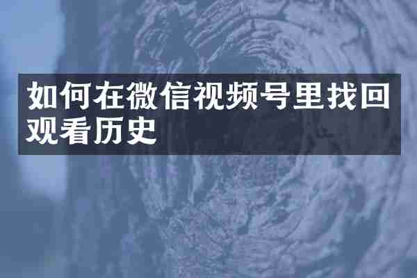 如何在微信视频号里找回观看历史
