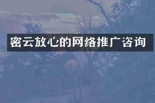 密云放心的网络推广咨询