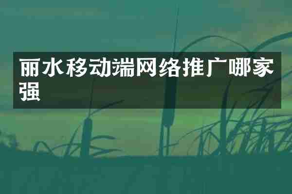 丽水移动端网络推广哪家强