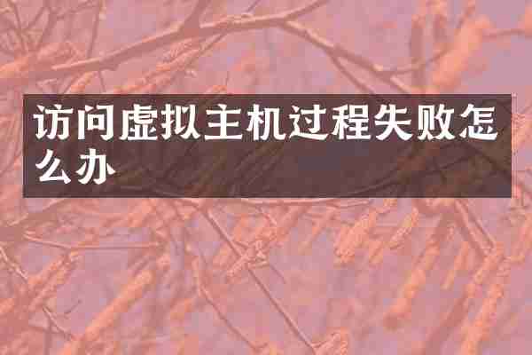 访问虚拟主机过程失败怎么办