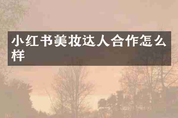 小红书美妆达人合作怎么样