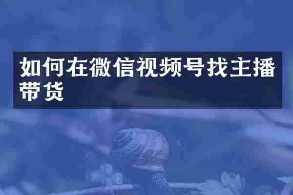 如何在微信视频号找主播带货