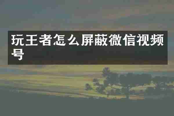 玩王者怎么屏蔽微信视频号