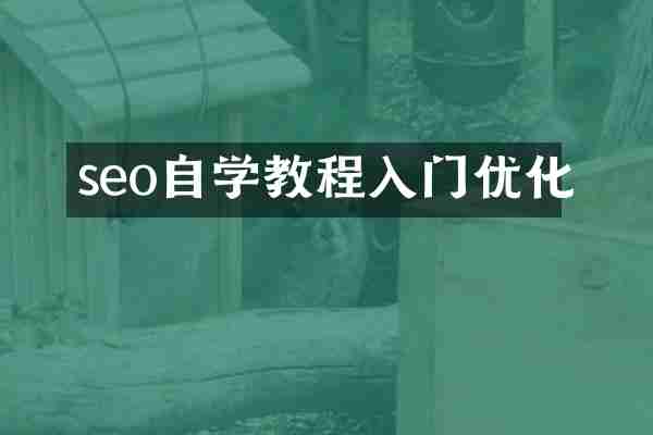seo自学教程入门优化