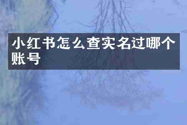 小红书怎么查实名过哪个账号