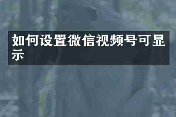 如何设置微信视频号可显示