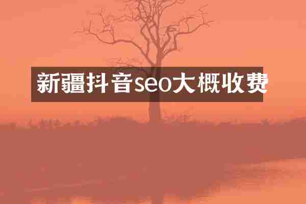 新疆抖音seo大概收费