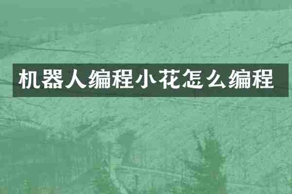 机器人编程小花怎么编程