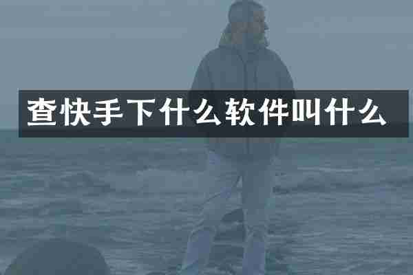 查快手下什么软件叫什么