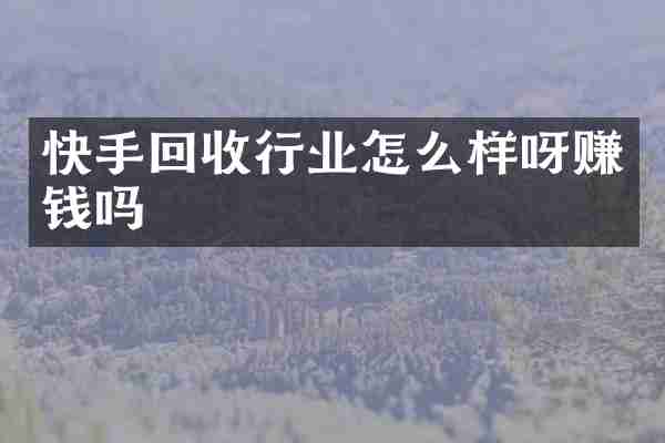 快手回收行业怎么样呀赚钱吗