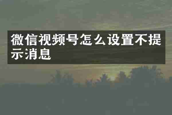 微信视频号怎么设置不提示消息