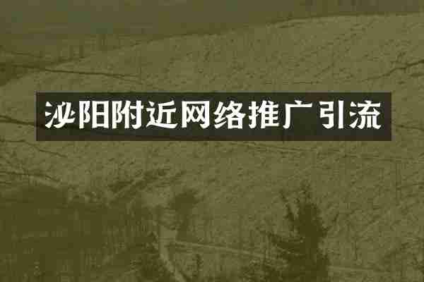 泌阳附近网络推广引流