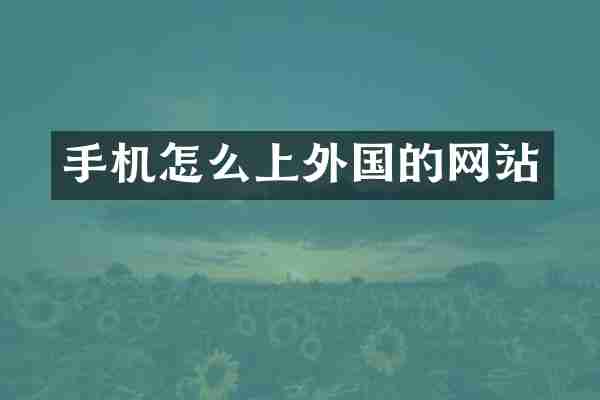 手机怎么上外国的网站