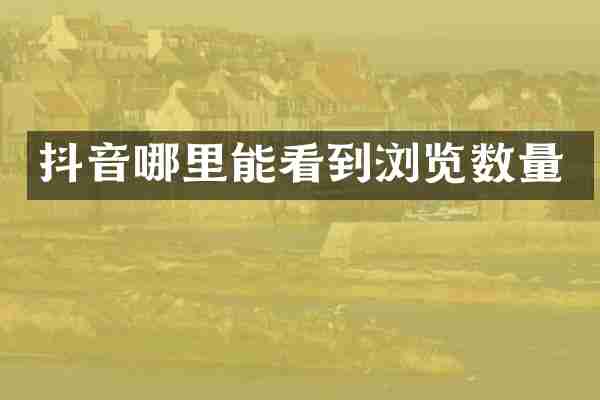 抖音哪里能看到浏览数量
