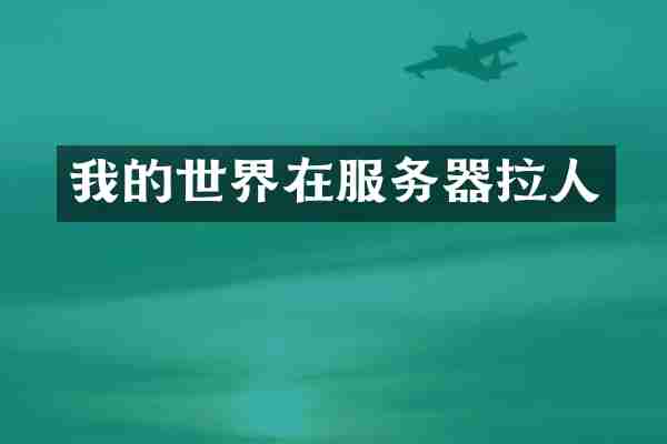 我的世界在服务器拉人