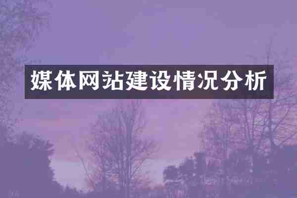 媒体网站建设情况分析