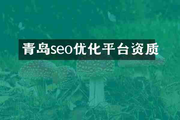 青岛seo优化平台资质