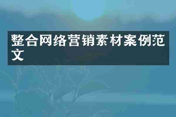 整合网络营销素材案例范文