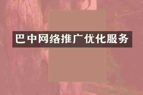巴中网络推广优化服务