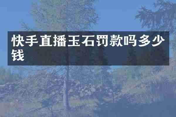 快手直播玉石罚款吗多少钱