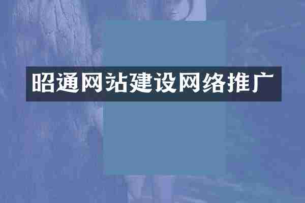 昭通网站建设网络推广