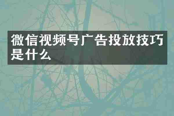 微信视频号广告投放技巧是什么