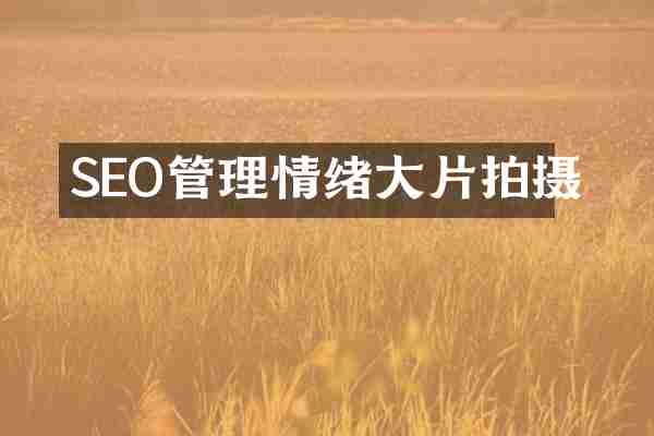SEO管理情绪大片拍摄