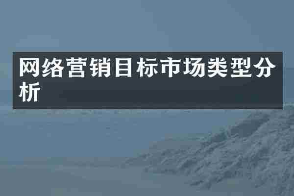 网络营销目标市场类型分析