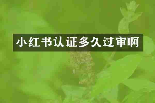 小红书认证多久过审啊