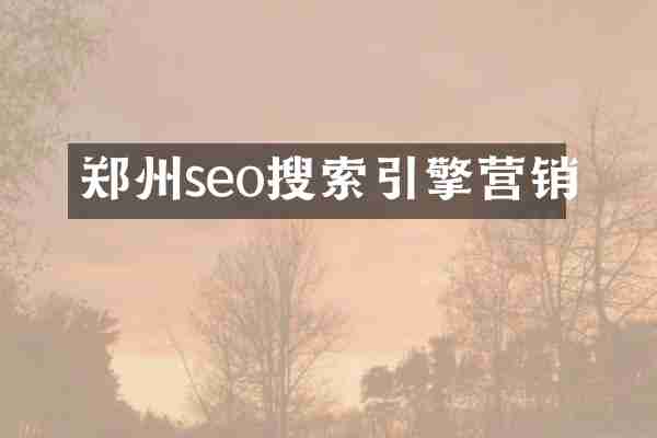 郑州seo搜索引擎营销