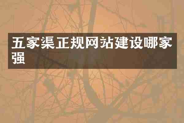 五家渠正规网站建设哪家强