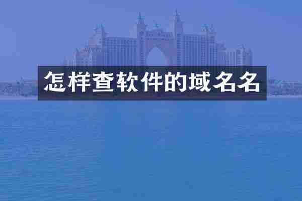 怎样查软件的域名名