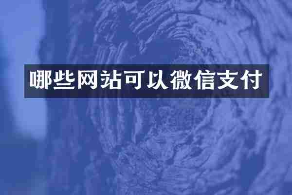 哪些网站可以微信支付