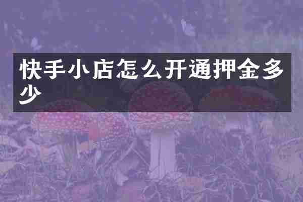 快手小店怎么开通押金多少