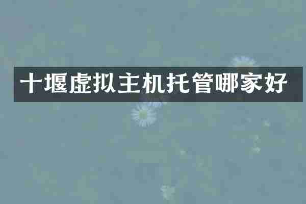 十堰虚拟主机托管哪家好
