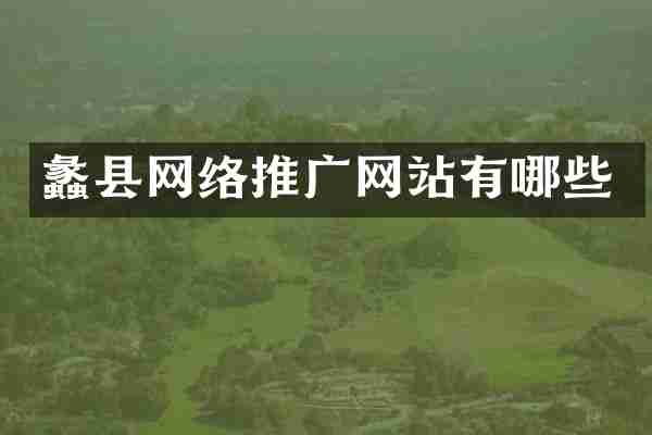 蠡县网络推广网站有哪些
