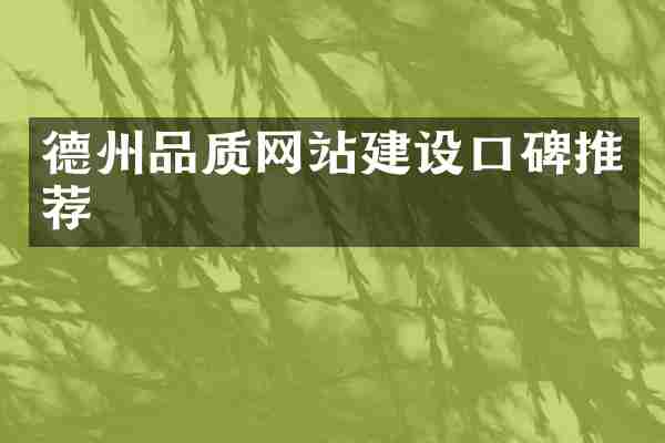 德州品质网站建设口碑推荐