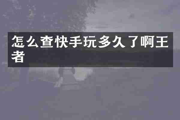 怎么查快手玩多久了啊王者