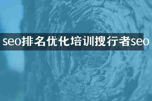 seo排名优化培训搜行者seo