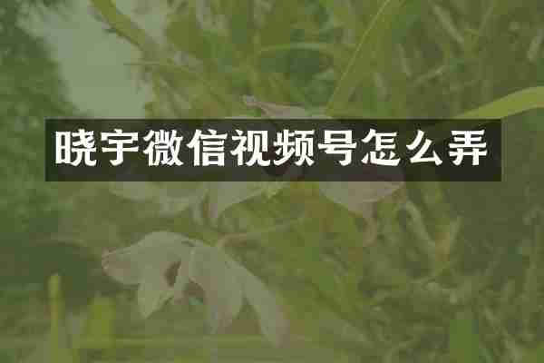 晓宇微信视频号怎么弄