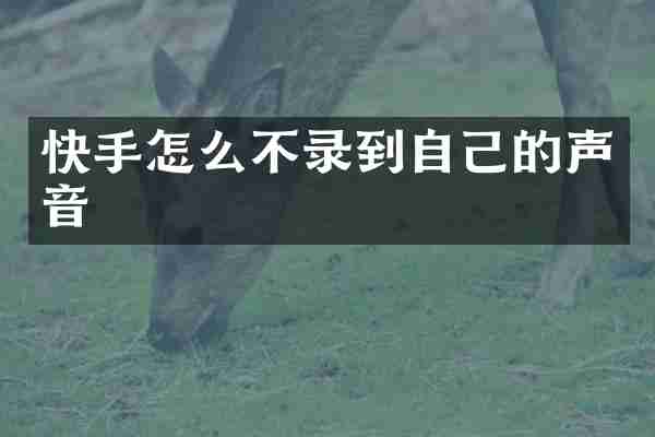 快手怎么不录到自己的声音