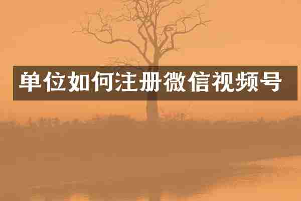 单位如何注册微信视频号