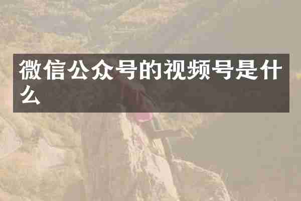 微信公众号的视频号是什么