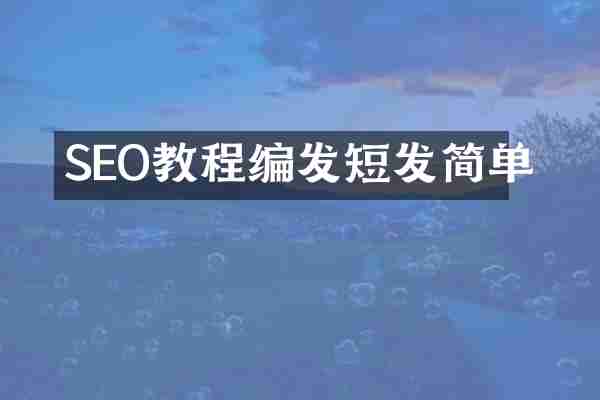 SEO教程编发短发简单