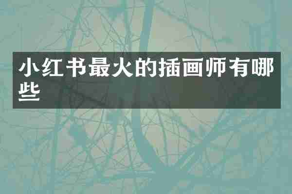 小红书最火的插画师有哪些