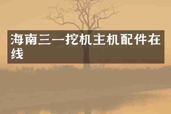 海南三一挖机主机配件在线